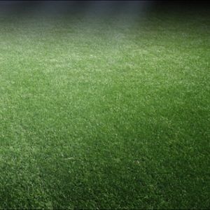 Meet your Posher, Rodriga